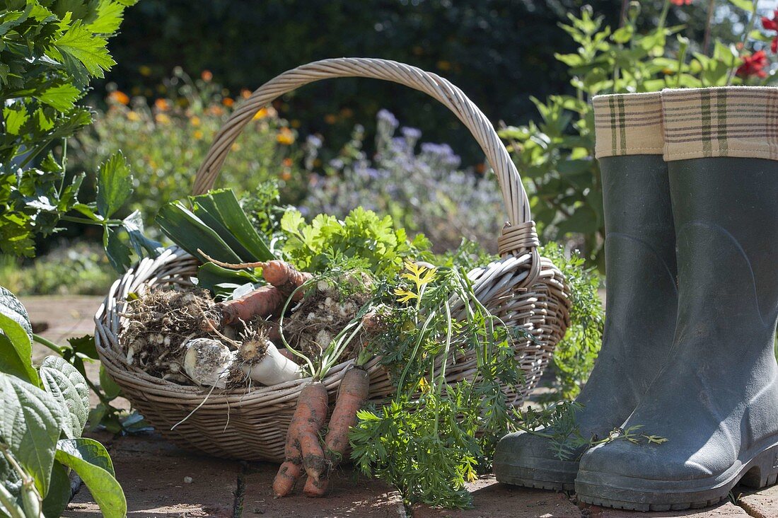 Greens from own harvest