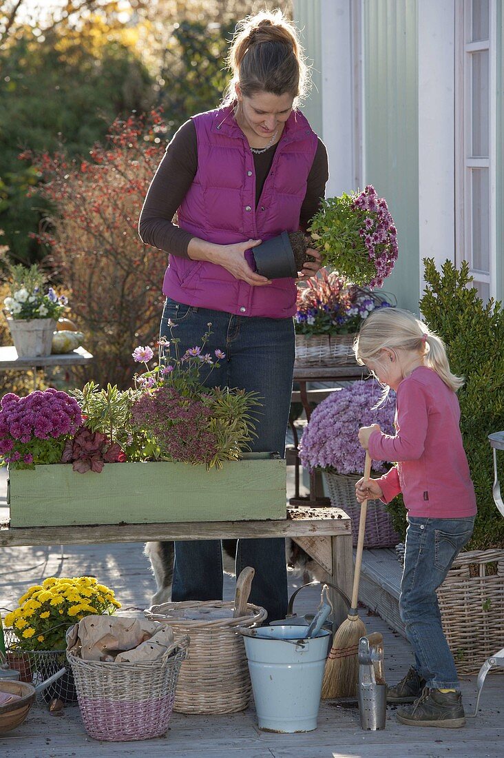 Green wooden box planted with Chrysanthemums