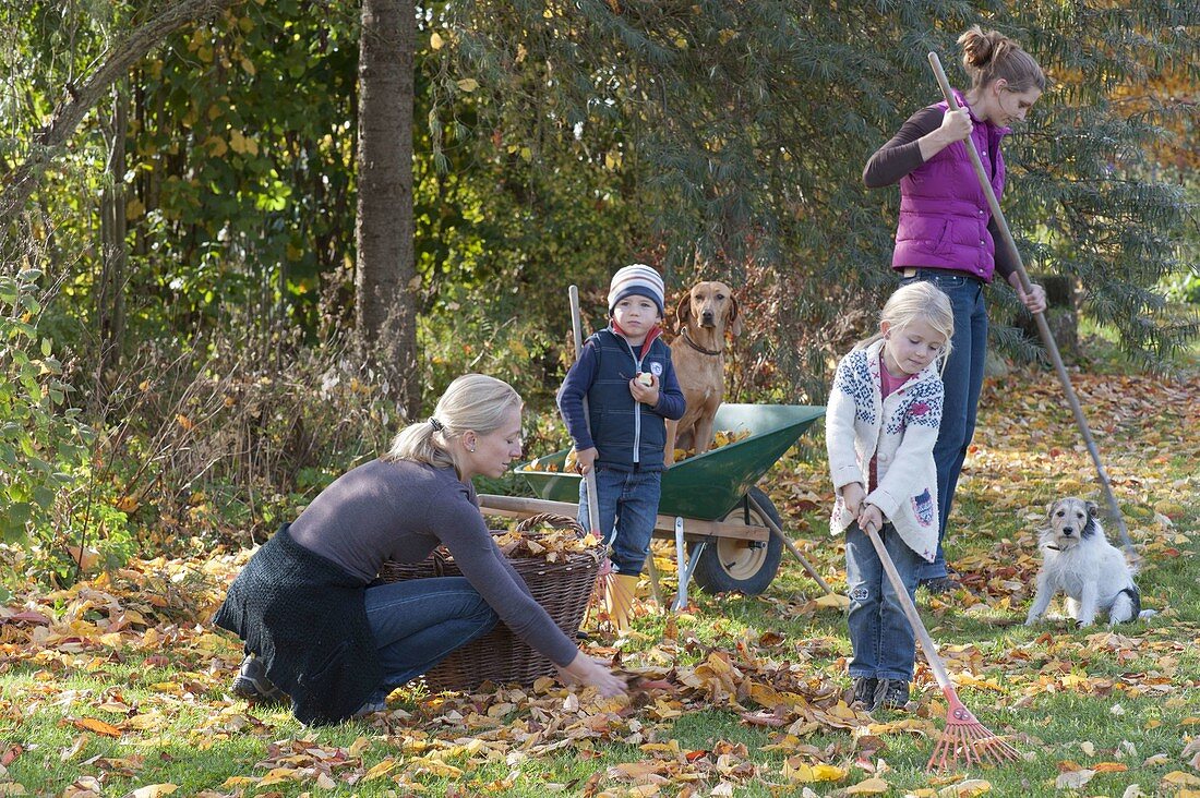 Raking leaves with children and dog