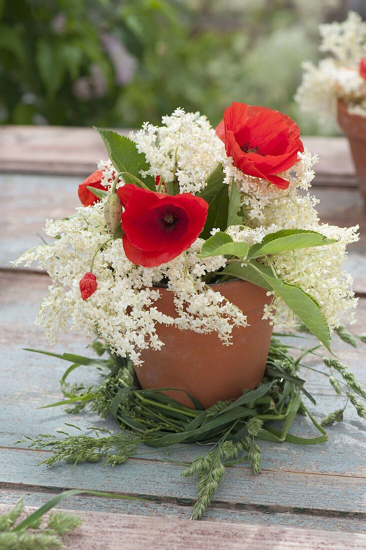 Small bouquet of elderberry (Sambucus nigra) and Papaver rhoeas (corn poppy)