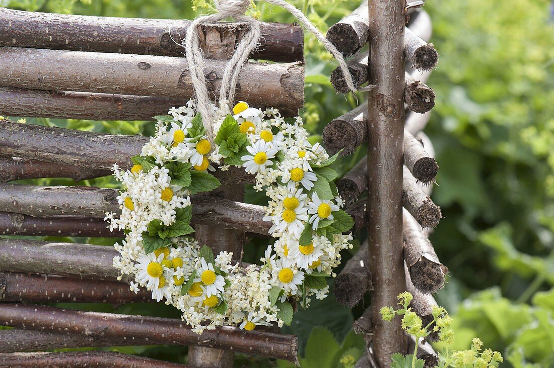 Wreath of elderberry and chamomile