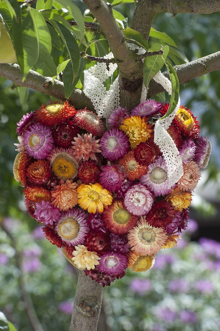 Arranged heart of straw flowers