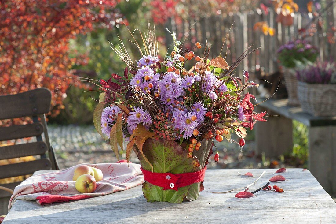 Rural autumn bouquet of pinks (rose hips), asters (autumn asters)
