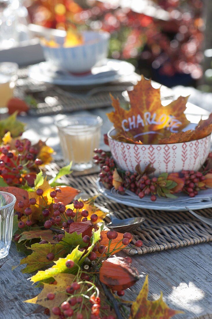 Autumn table decoration with garland of autumn leaves and rose hips