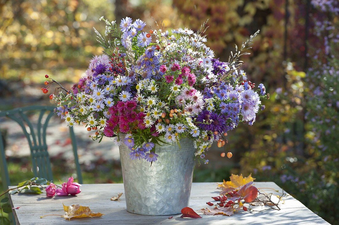Autumn bouquet of Aster (autumn asters), Malus (ornamental apples) and grasses