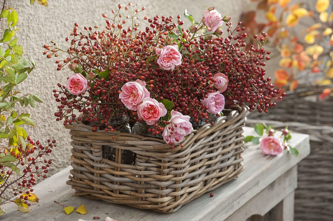 Korb mit Rosa (Hagebutten und Rosen)