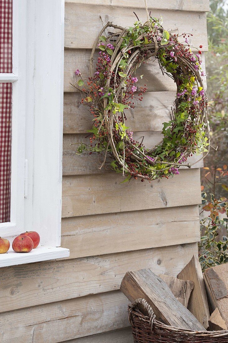 Autumn wreath made of clematis (woodland vine) and hedera (ivy) tendrils