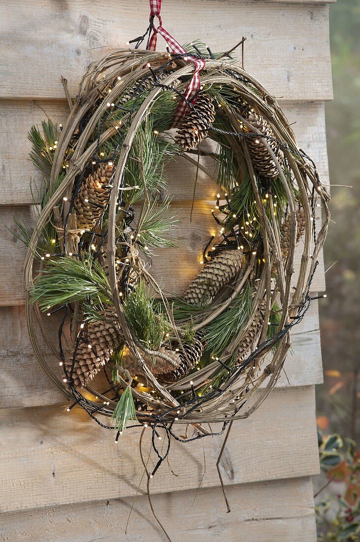 Simple wreath made of clematis (woodland vine) tendrils with pinus (pine)
