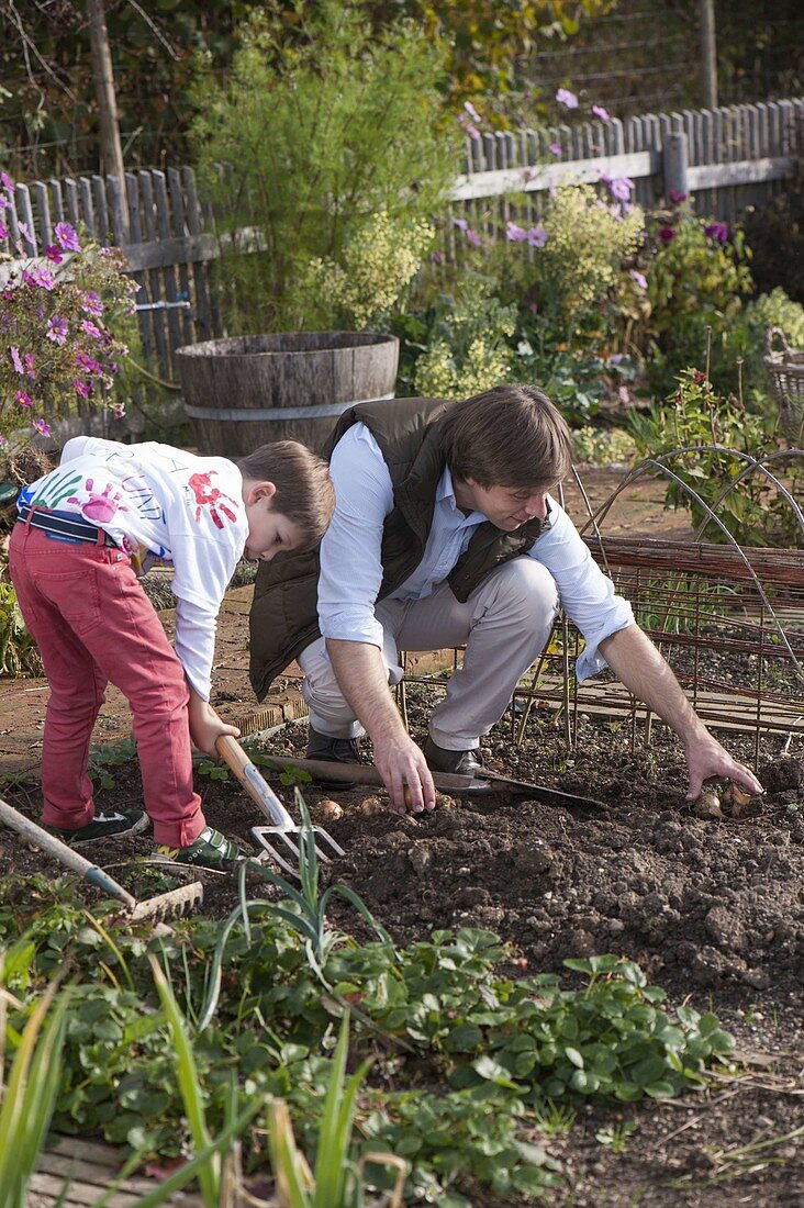 Autumn work with the whole family in the organic garden