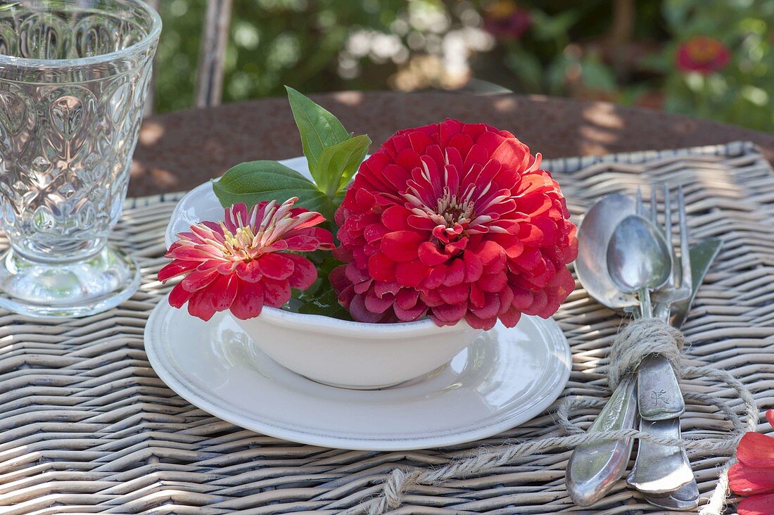 Tischdeko mit Zinnien