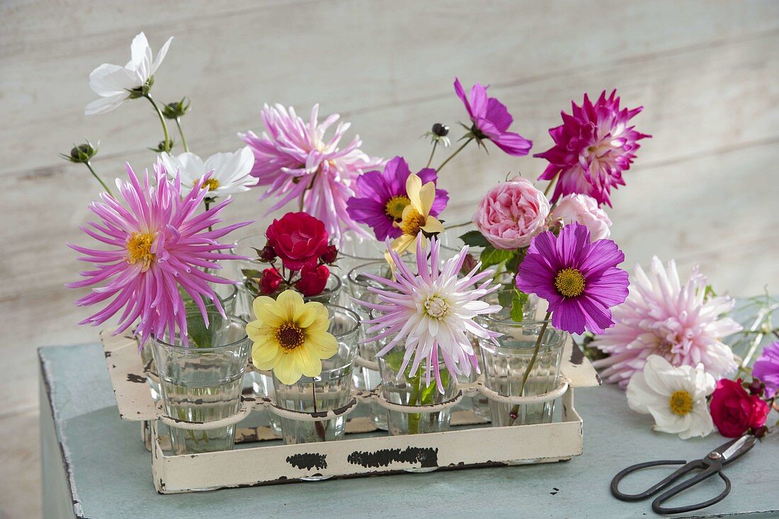 Einzelne Blüten in kleinen Gläsern