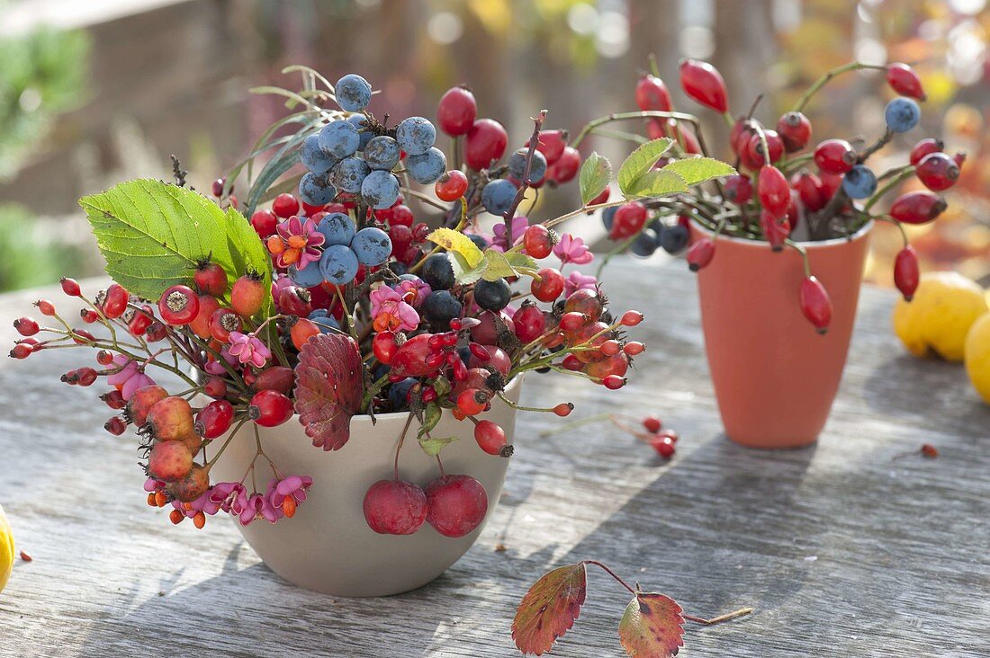 Small bouquets of sloes (Prunus spinosa), pinks (rose hips)
