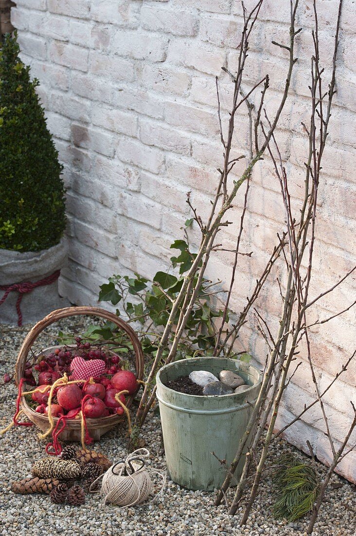 VogelfutterBaum aus Zweigen selberbauen Bild kaufen