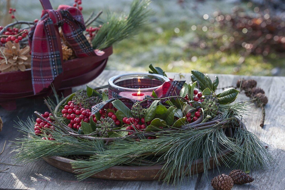 Lantern in wreath of Pinus, Ilex