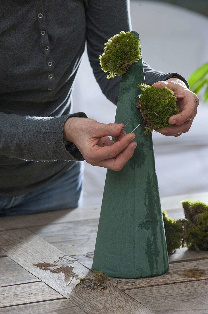 Moss cone stuck as a table decoration