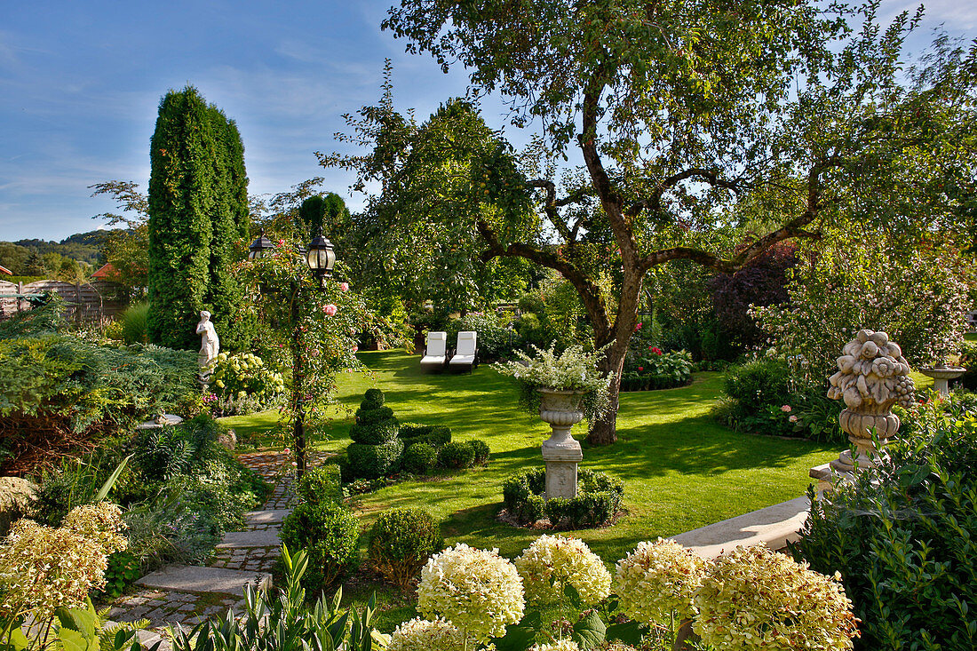 View into garden with picturesque apple tree