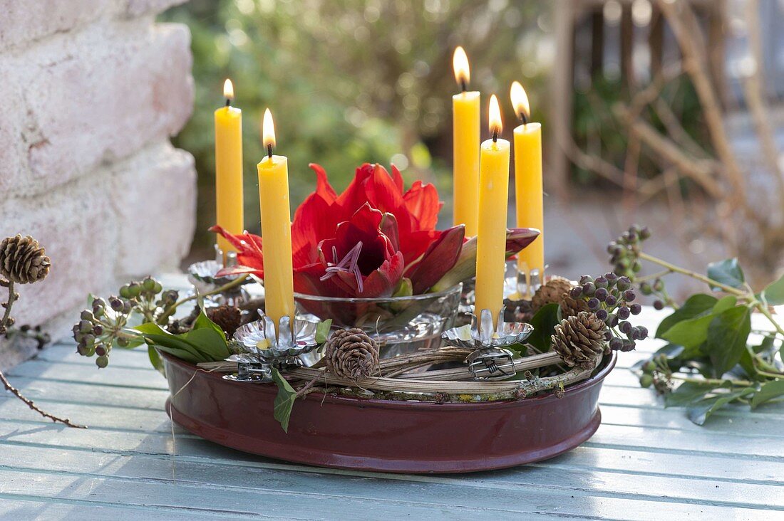 Glas-Schale mit Blüte von Hippeastrum (Amaryllis) im Wasser in Kranz