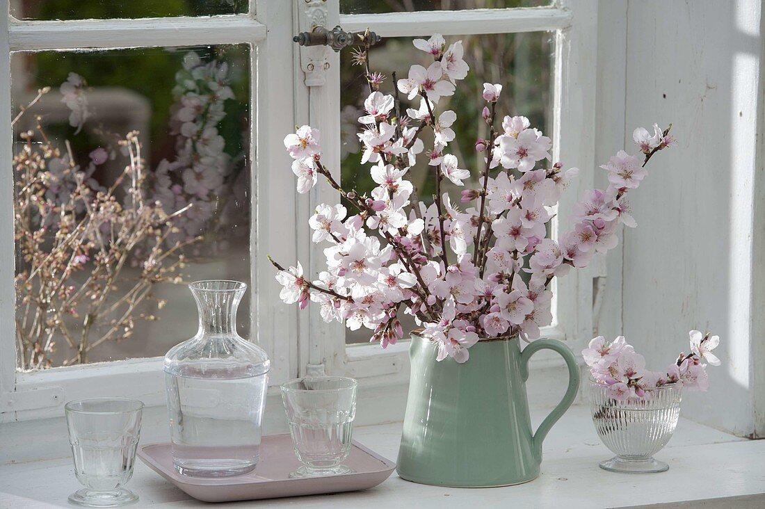 Flowering Prunus dulcis branches in green pitcher by the window