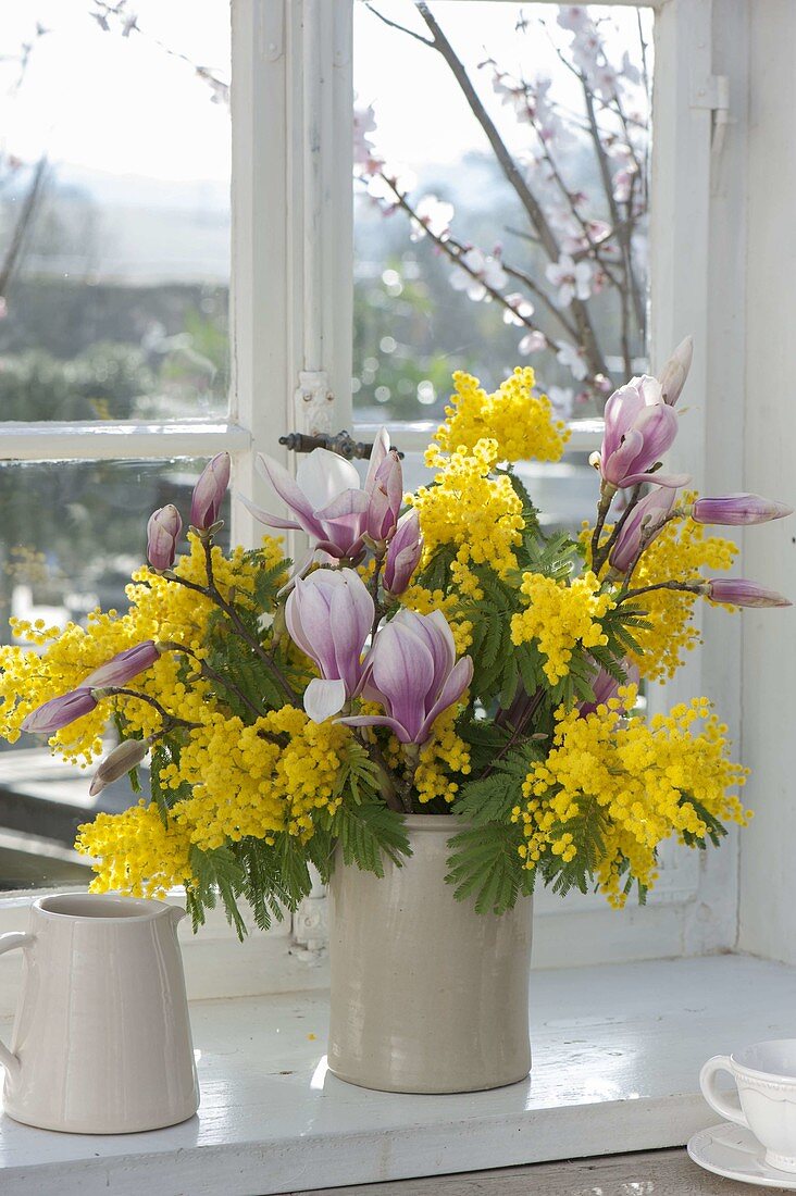 Fragrant bouquet of twigs of Acacia (mimosa)