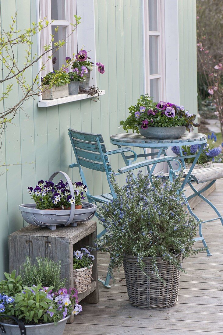 Spring terrace with herbs and edible flowers