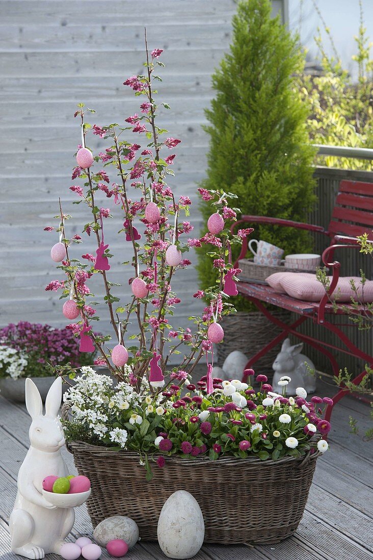 Old laundry basket planted with spring bloomers