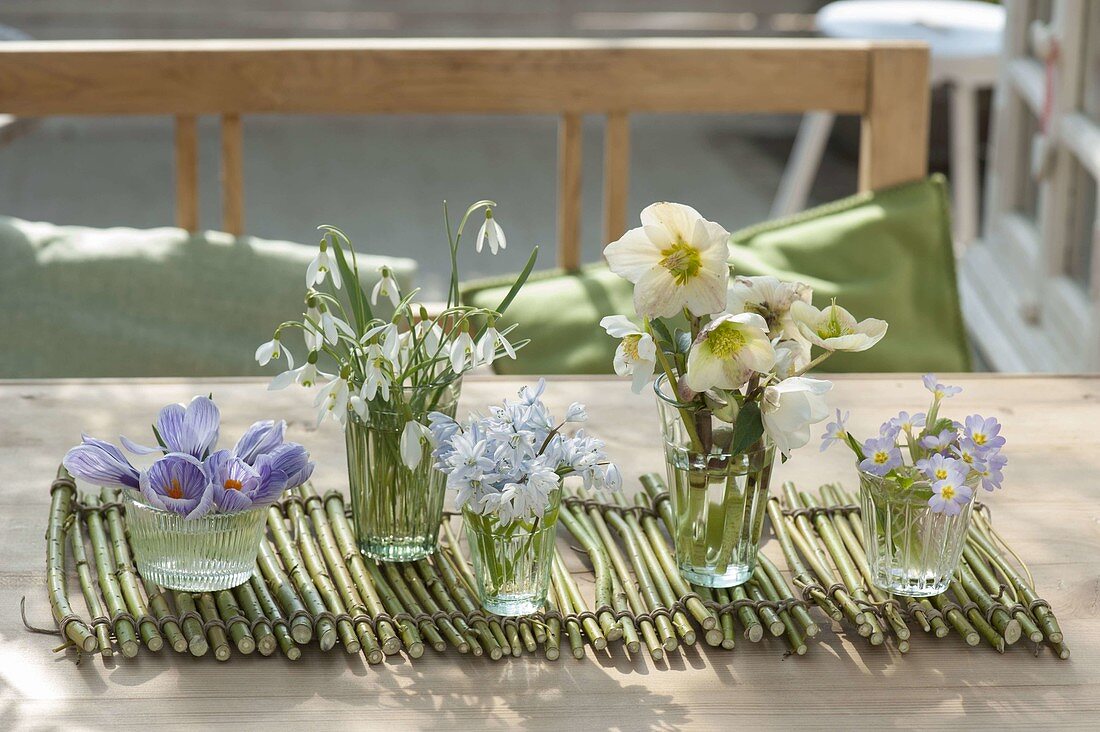 Small bouquets of Crocus, Galanthus nivalis