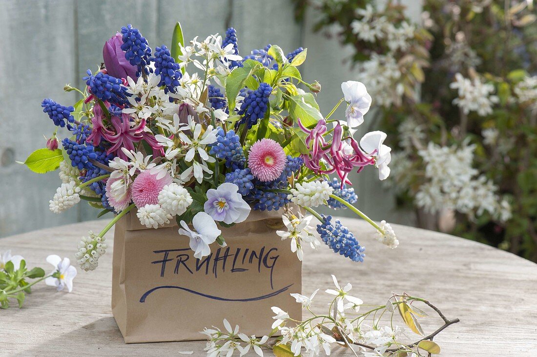 Bouquet in a spring bag, Muscari (Grape Hyacinth), Bellis