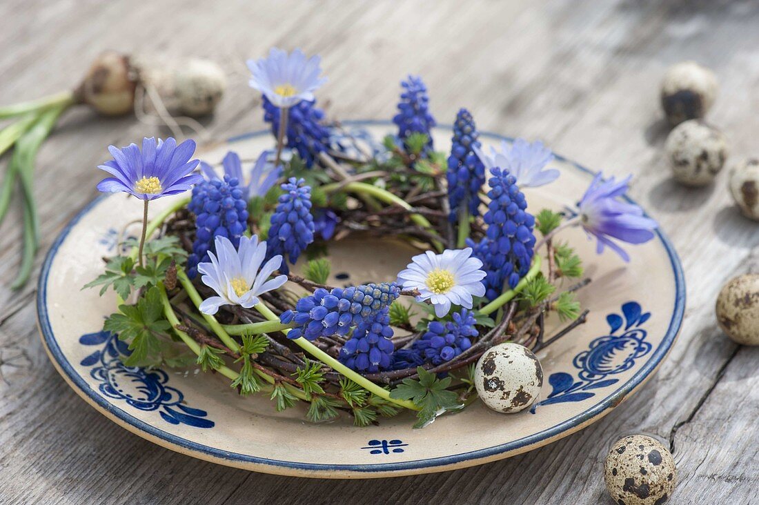 Tellerdeko mit Muscari armeniacum 'Blue Pearl' (Traubenhyazinthen) und Anemone blanda (Strahlenanemonen) an Kranz aus Betula (Birke) und Larix (Laerche), Ostereier