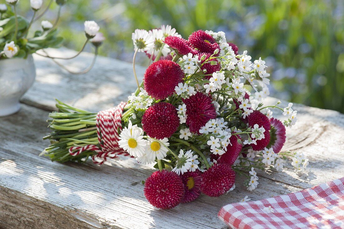 Lying bouquet with bellis (daisy)