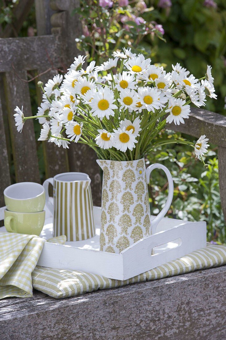 White bouquet of Leucanthemum vulgare (Margerite) in pitcher