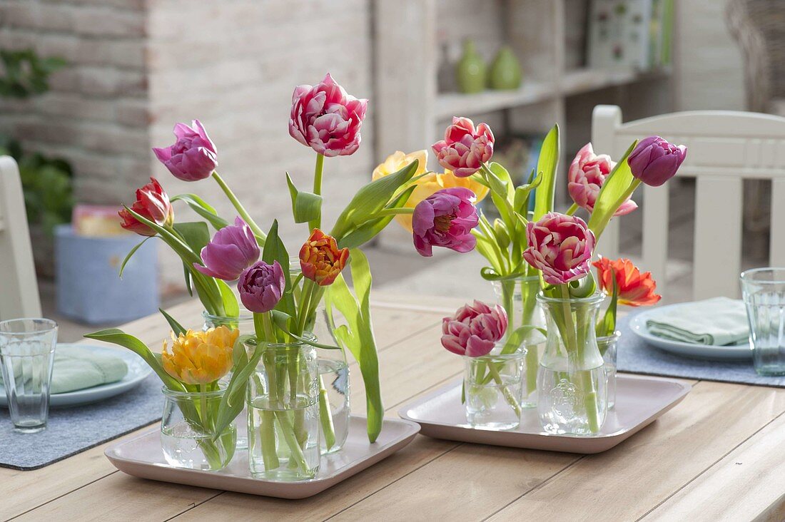 Tischdeko mit gefuellten Tulipa (Tulpen) in Gläsern