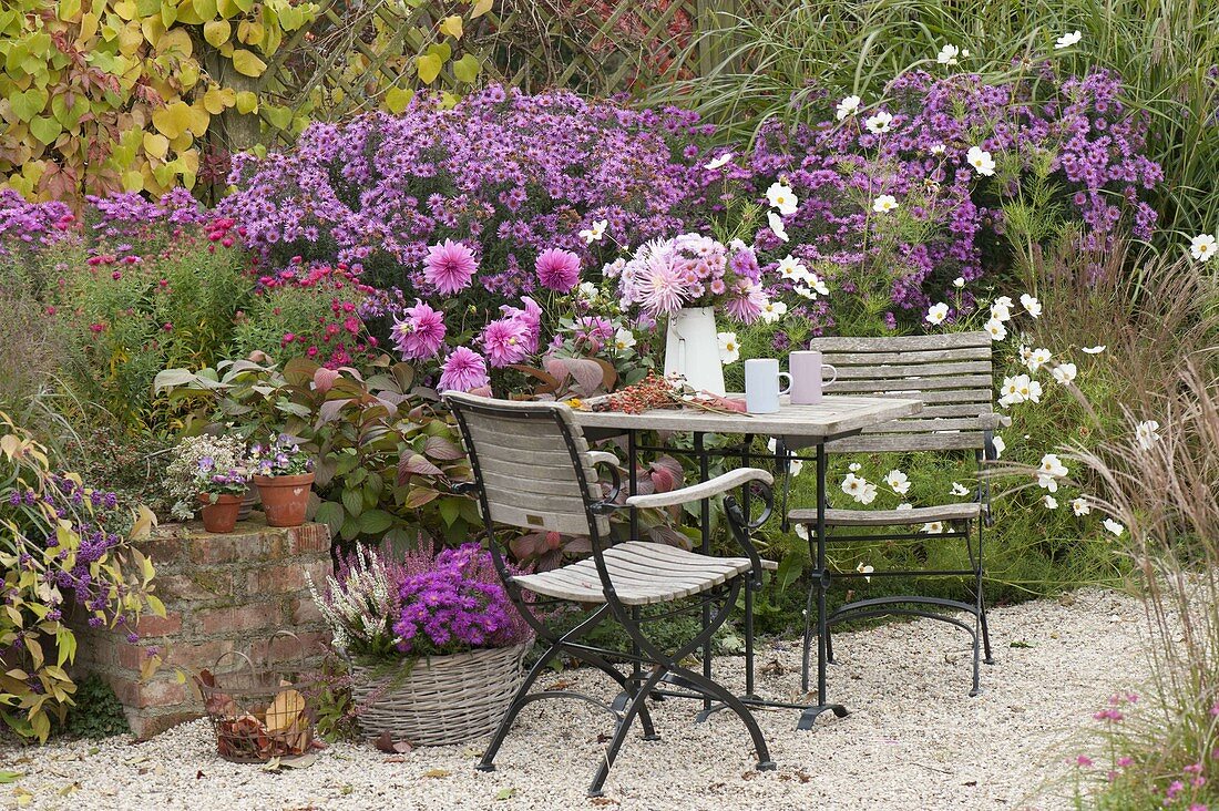 Autumnal gravel terrasse with small seating group on the flowerbed with aster