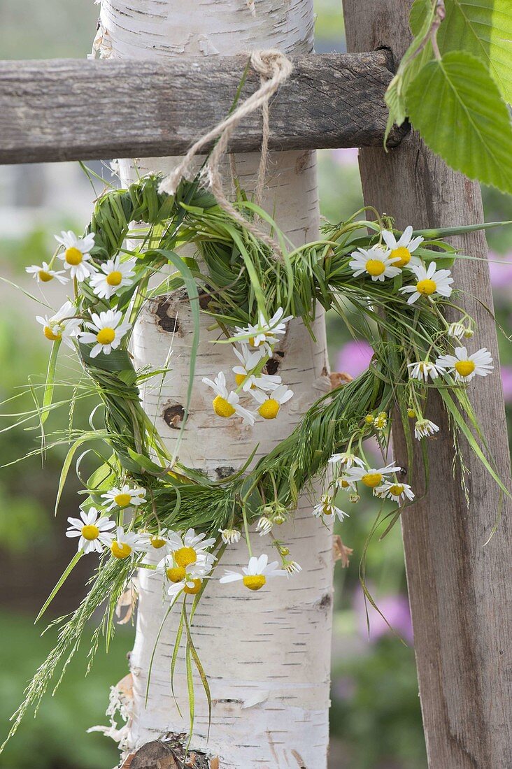 Maiengrün-Herz wound from grass, decorated with chamomile flowers