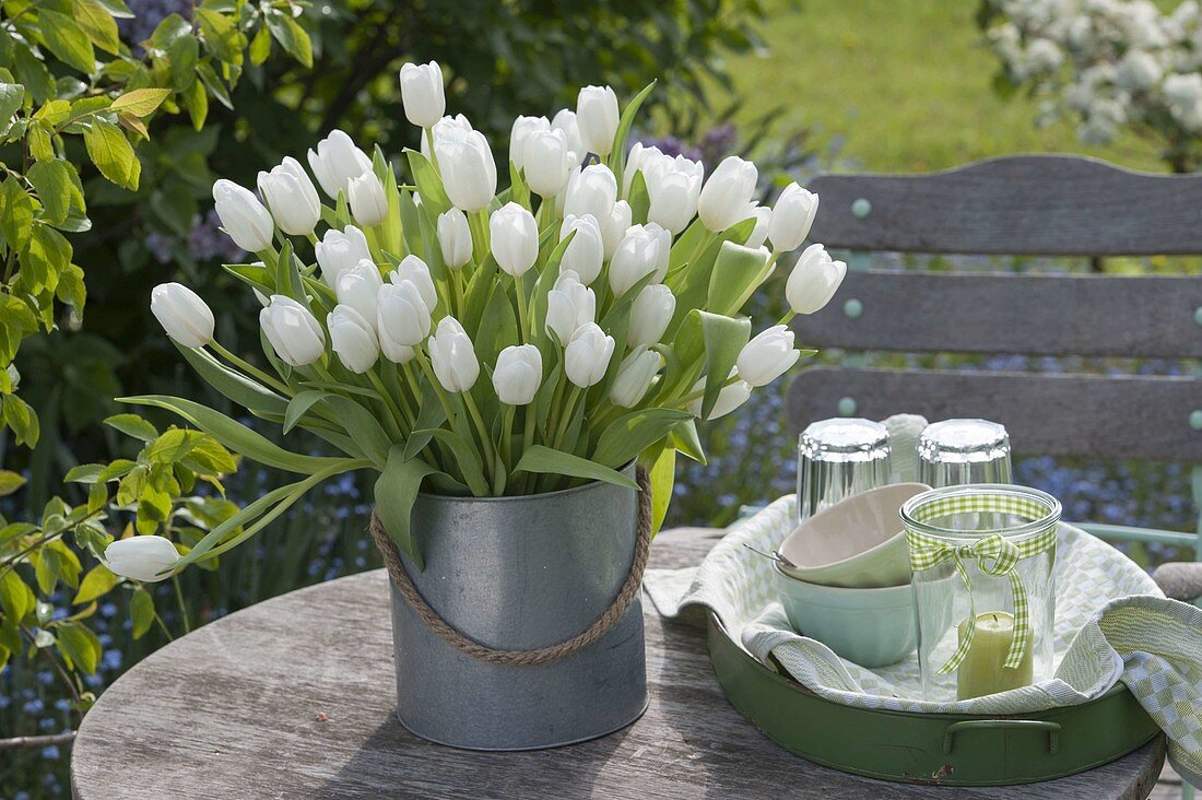 Tulipa 'Calgary' bouquet in zinc bucket on garden table