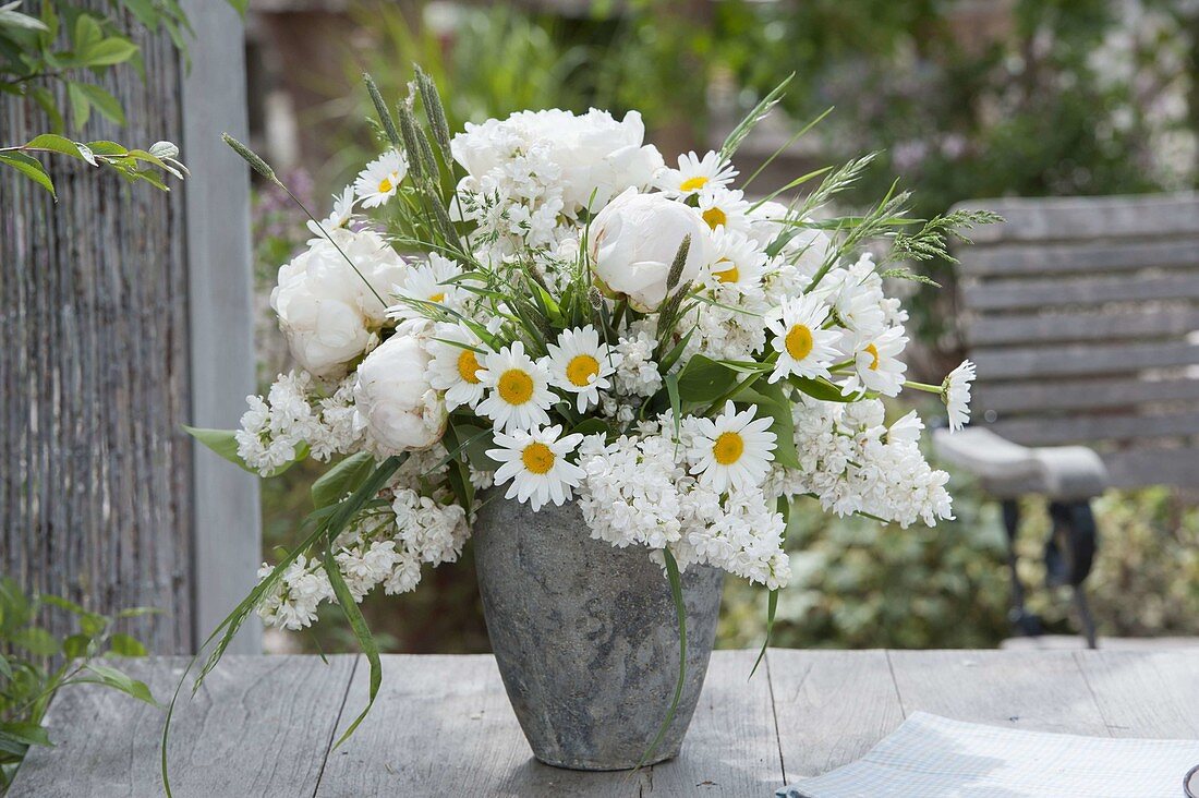 Weisser Duftstrauss aus Paeonia (Pfingstrosen), Leucanthemum vulgare