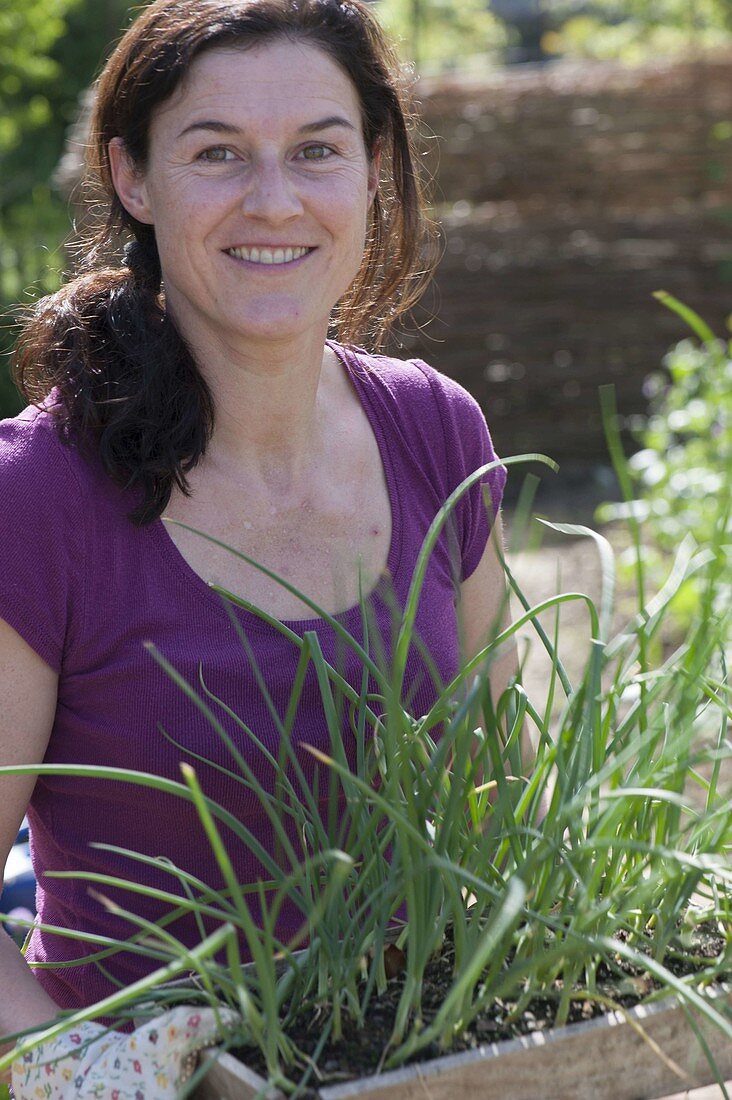 Woman with young onions (Allium cepa) plants in wooden box