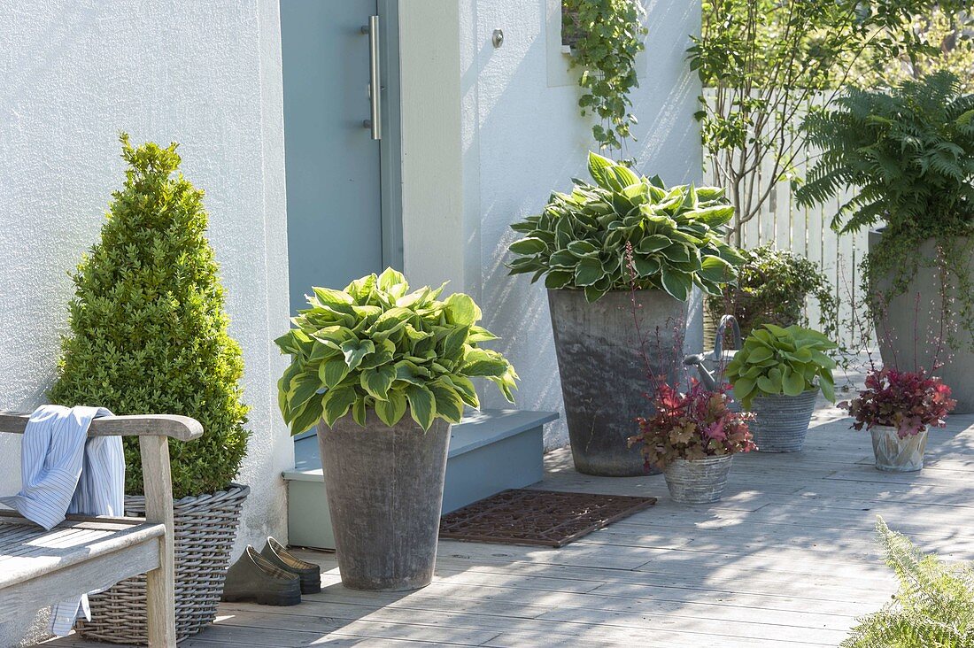 Tall pots with leaf ornaments at the entrance