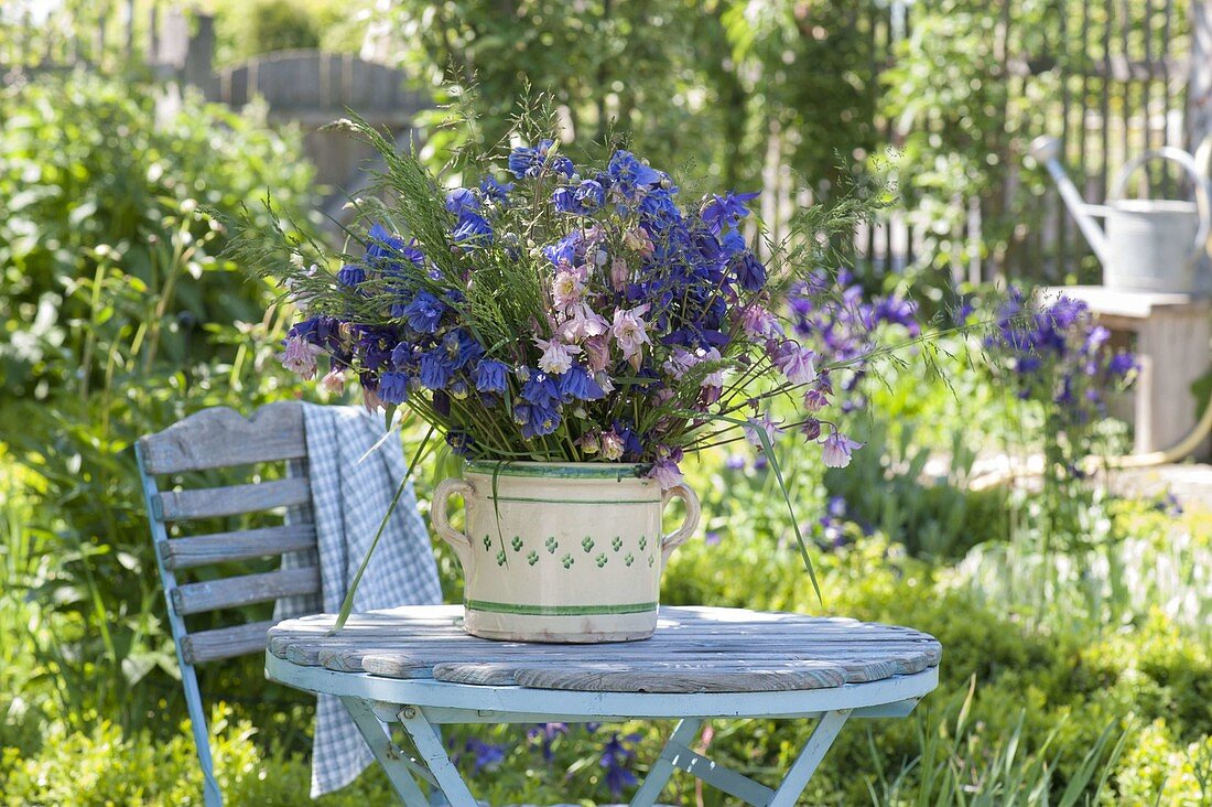 Natural bouquet of aquilegia (columbine) and grasses