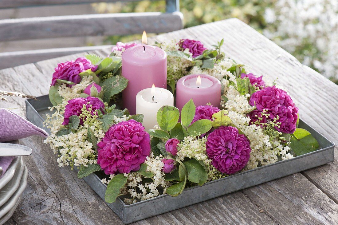 Scented wreath on zinc bowl, rose 'Rose De Resht'