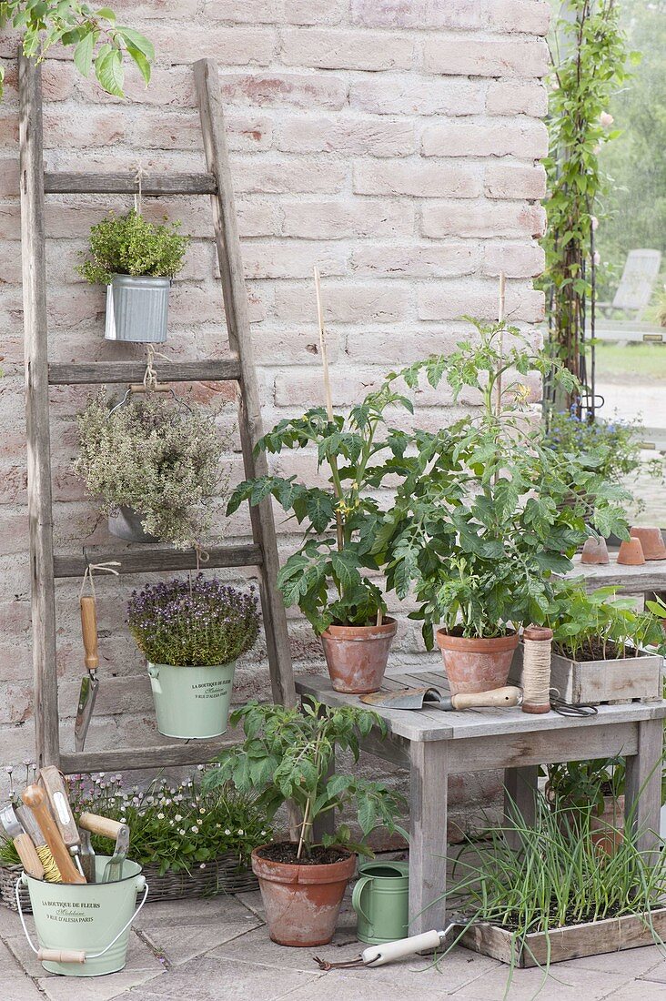 Terrace with herbs and vegetables