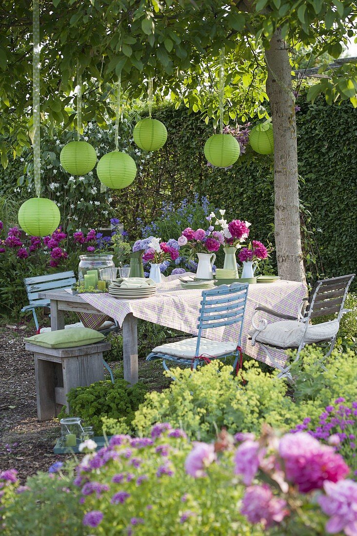 Garden party in early summer under walnut tree