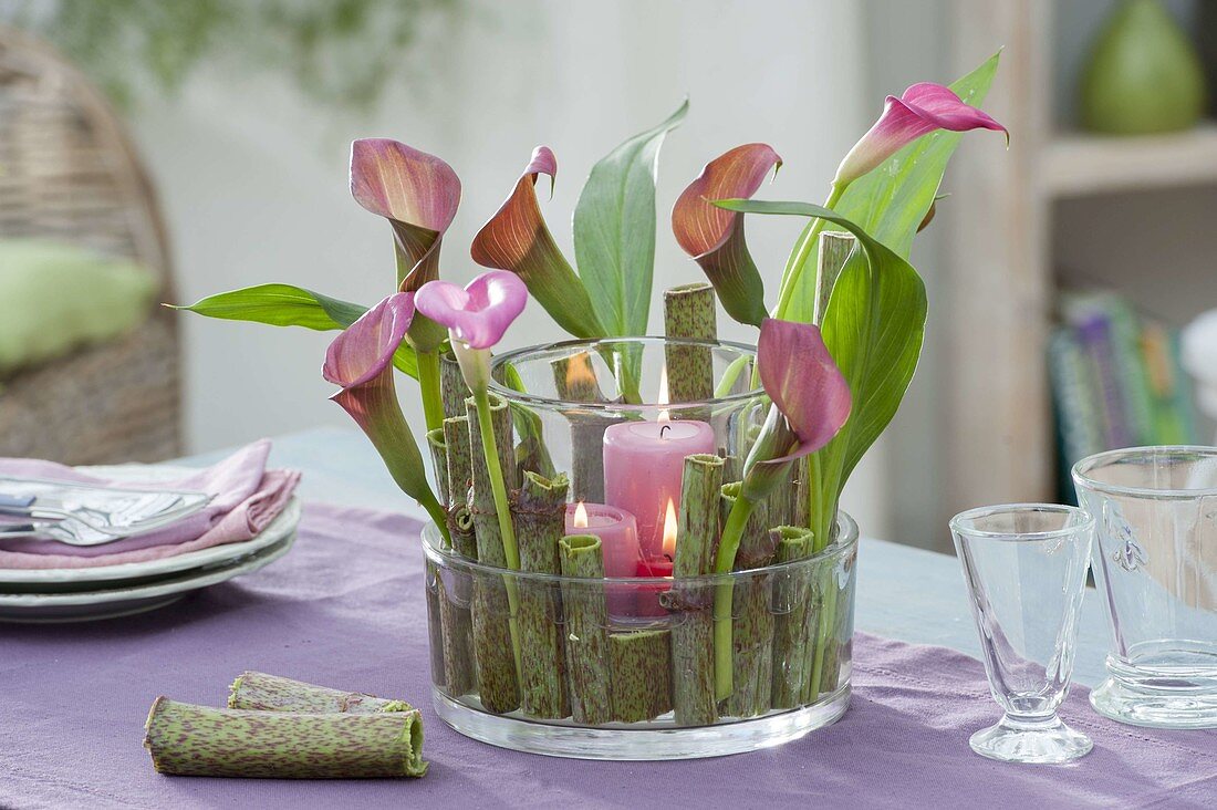 Lanterns with giant kiwi and Zantedeschia (Calla)