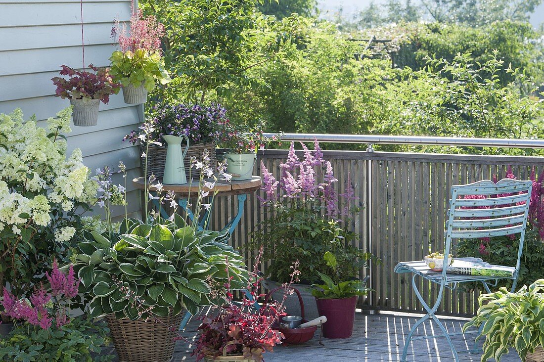 Partial shade balcony with Hosta 'Francee', Astilbe arendsii