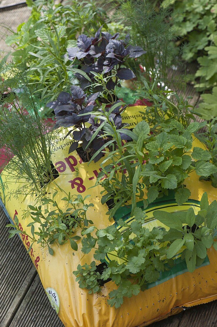 Bag with earth converted as a planter