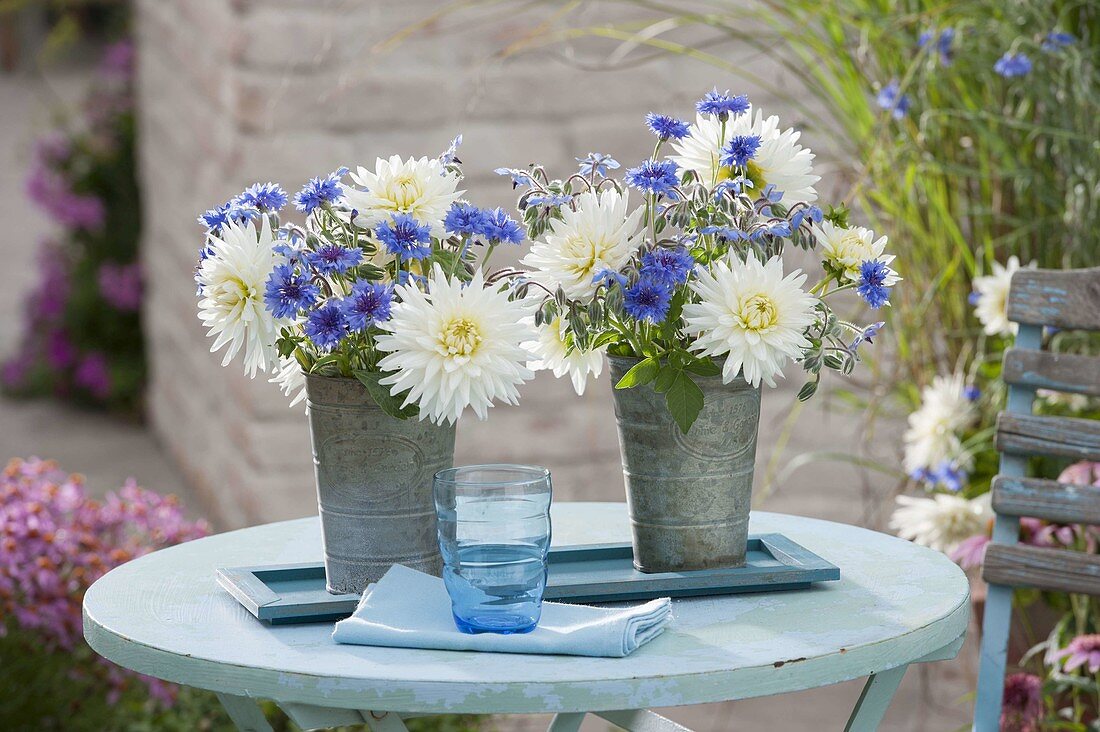 Small bouquets with Dahlia 'My Love', borage