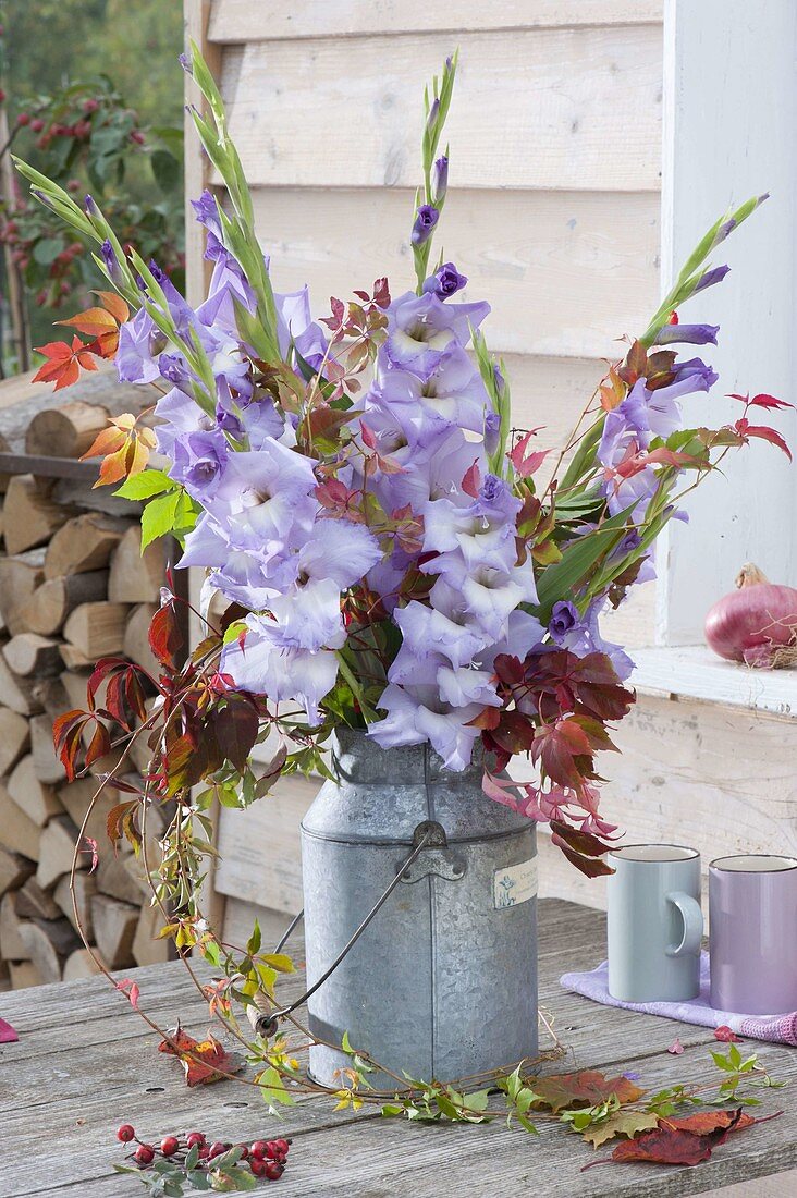 Violet bouquet in old zinc milk jug, Gladiolus