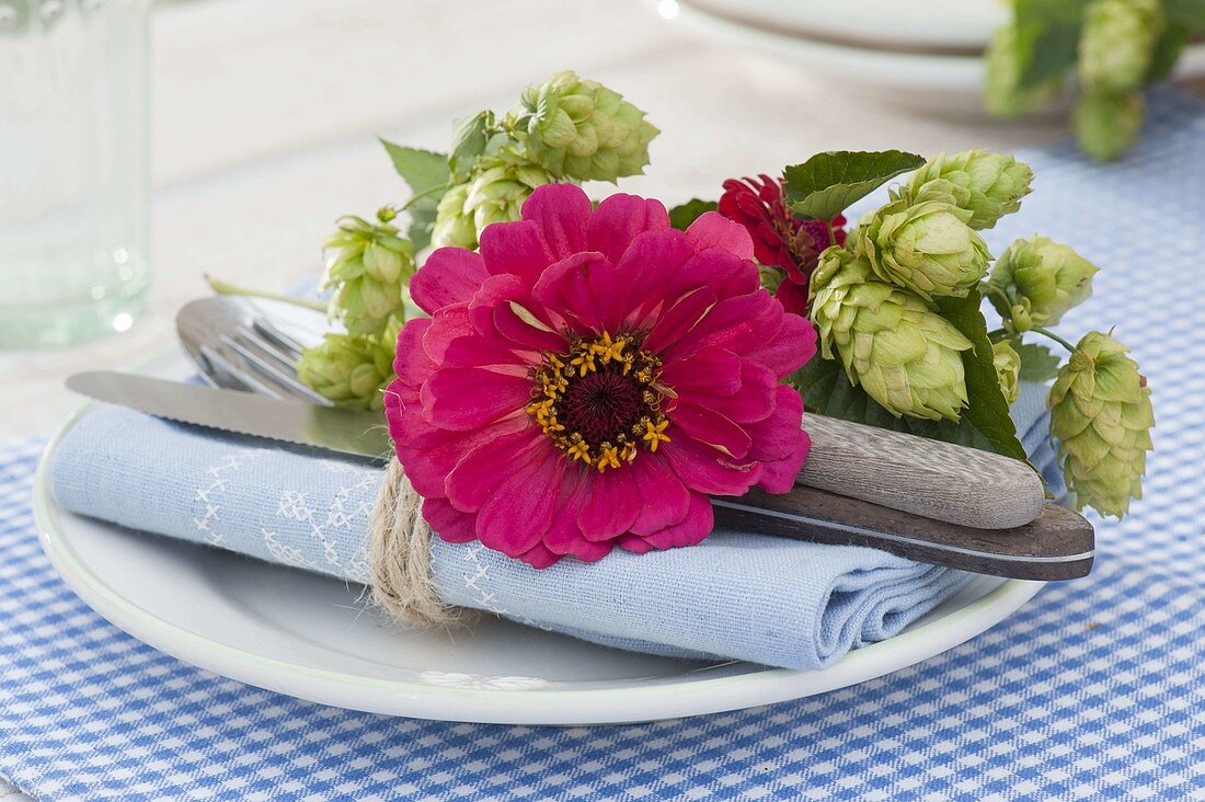 Serviettendeko aus Zinnia (Zinnien) und Humulus lupulus (Hopfen)