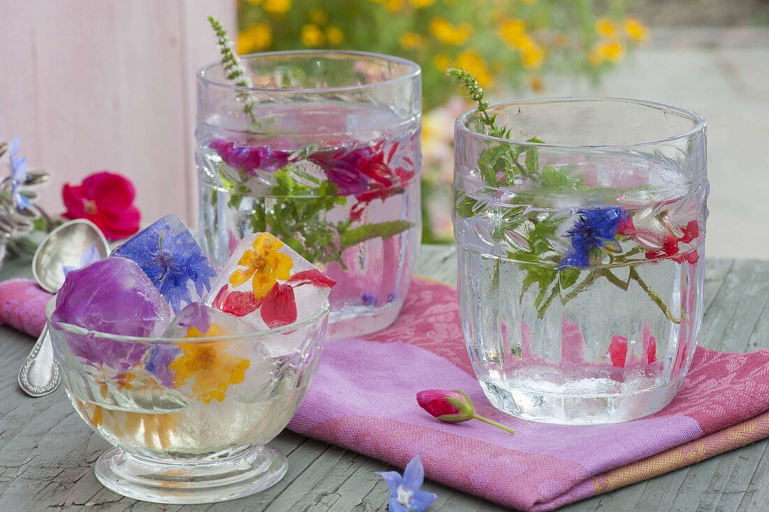 Ice cubes with frozen, edible flowers in glasses