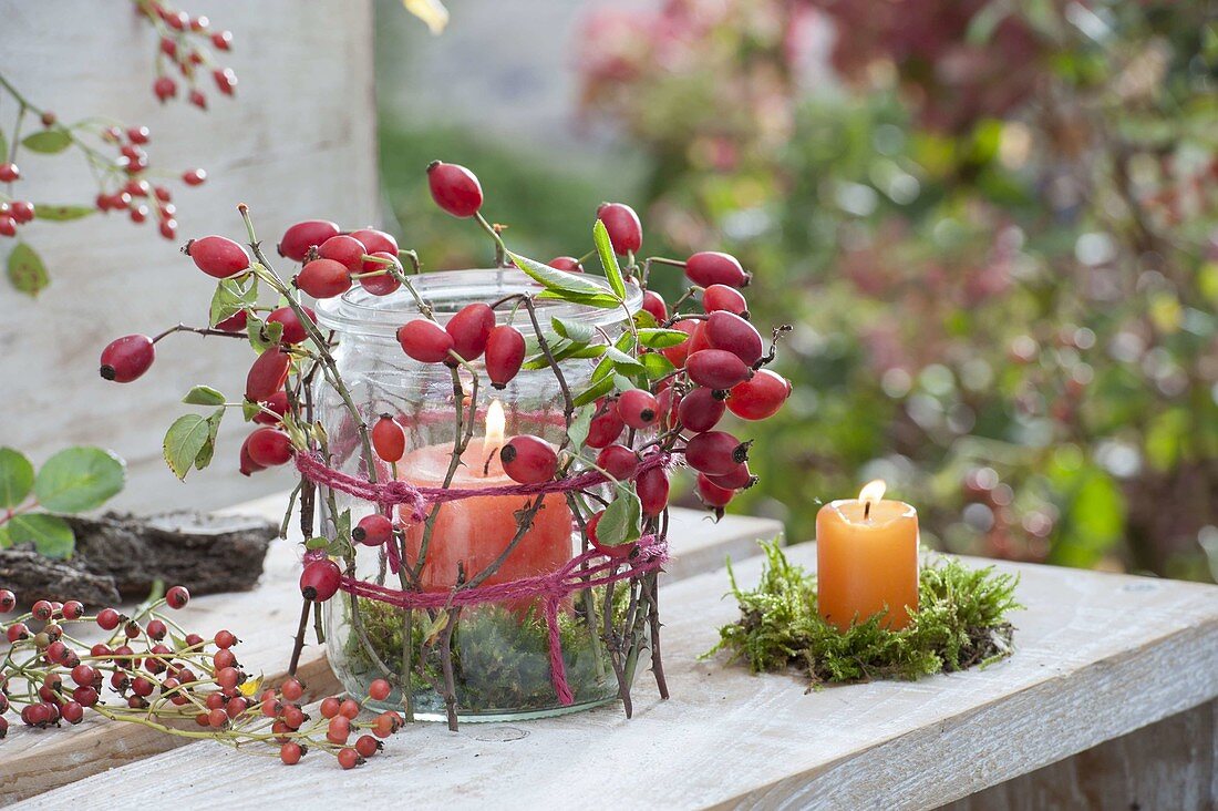 Einmachglas als Windlicht, dekoriert mit Hagebutten (Rosa), Kerze auf Moos