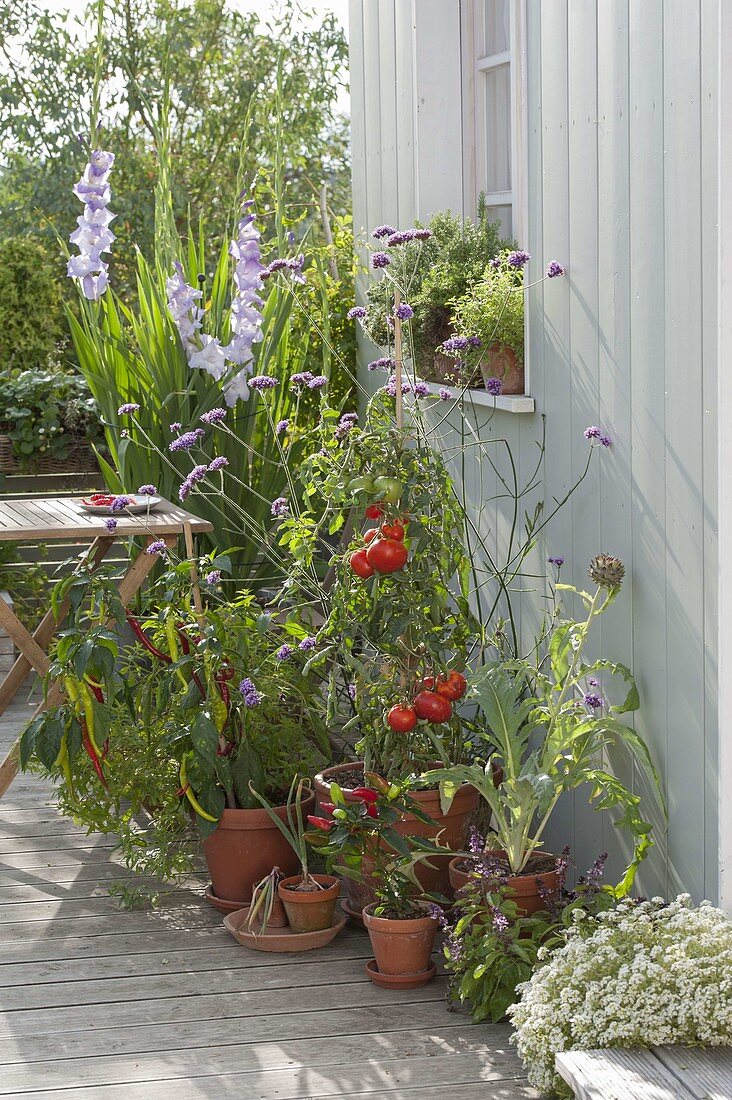 Terrace with vegetables and herbs in clay pots